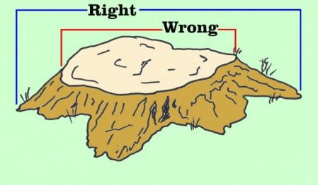 Stump measurement diagram showing right and wrong methods